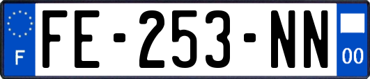 FE-253-NN