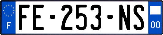 FE-253-NS