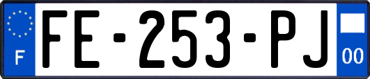 FE-253-PJ