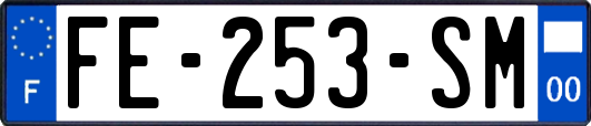 FE-253-SM