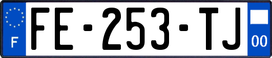 FE-253-TJ