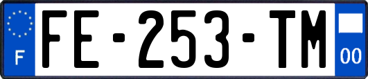 FE-253-TM