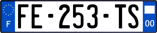 FE-253-TS