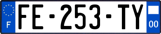FE-253-TY