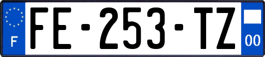 FE-253-TZ