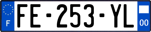FE-253-YL