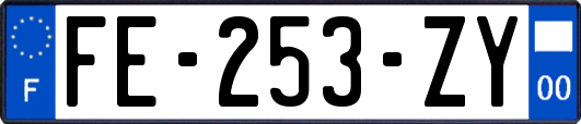 FE-253-ZY