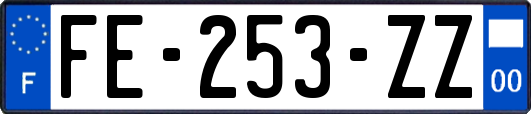 FE-253-ZZ