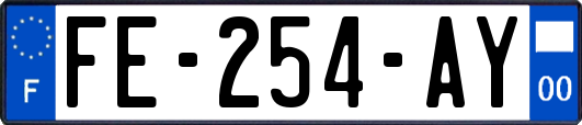FE-254-AY