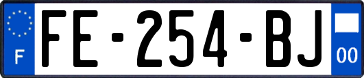 FE-254-BJ