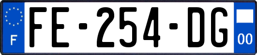 FE-254-DG