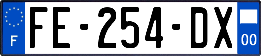 FE-254-DX