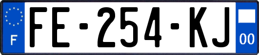 FE-254-KJ