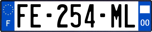 FE-254-ML