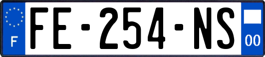 FE-254-NS