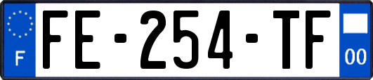 FE-254-TF