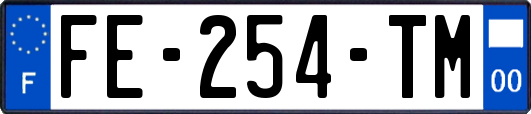 FE-254-TM