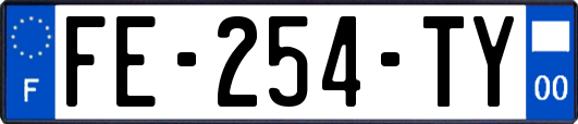 FE-254-TY