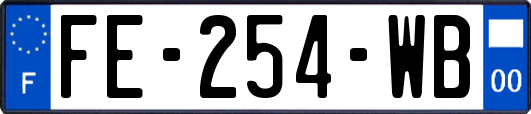 FE-254-WB