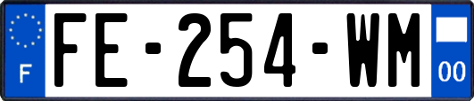 FE-254-WM