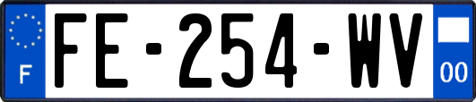 FE-254-WV
