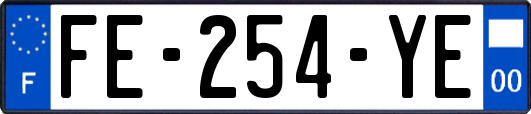 FE-254-YE