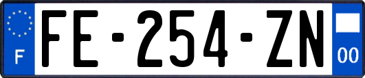 FE-254-ZN