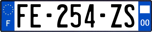 FE-254-ZS