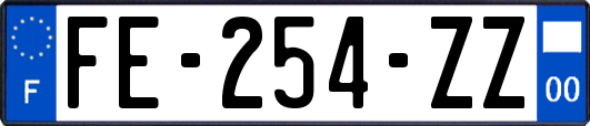 FE-254-ZZ