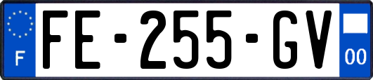 FE-255-GV