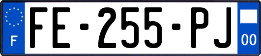 FE-255-PJ