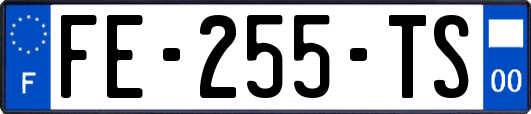 FE-255-TS