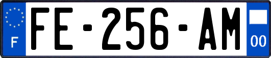 FE-256-AM