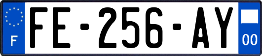 FE-256-AY