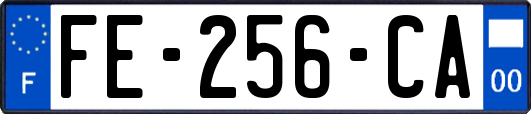 FE-256-CA