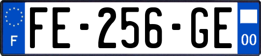 FE-256-GE
