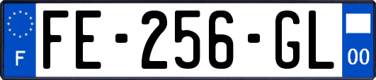 FE-256-GL