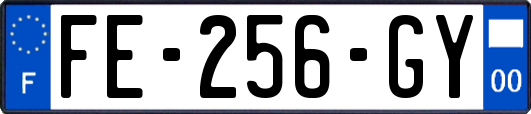 FE-256-GY