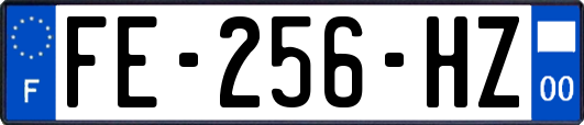 FE-256-HZ