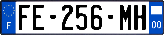 FE-256-MH