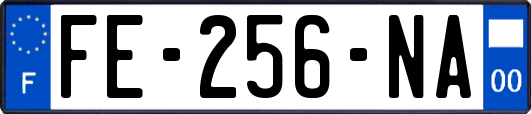FE-256-NA