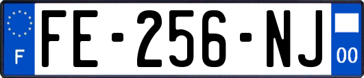 FE-256-NJ