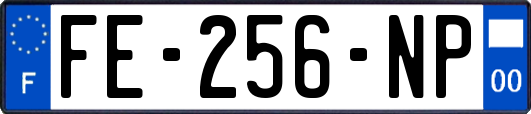 FE-256-NP