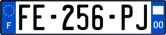 FE-256-PJ
