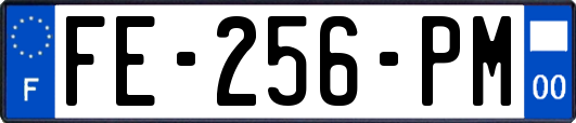 FE-256-PM