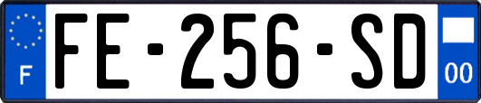 FE-256-SD