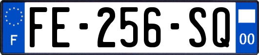 FE-256-SQ