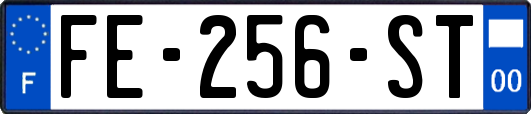 FE-256-ST