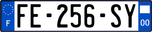 FE-256-SY