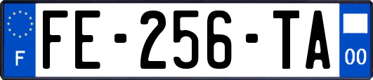 FE-256-TA